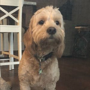 Meet your Posher, Robin